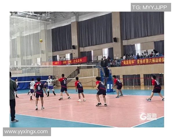 成都排球队的团队协作与默契配合研究探讨排球竞技中的成功之道 成都排球队的团队协作与默契配合研究探讨排球竞技中的成功之道